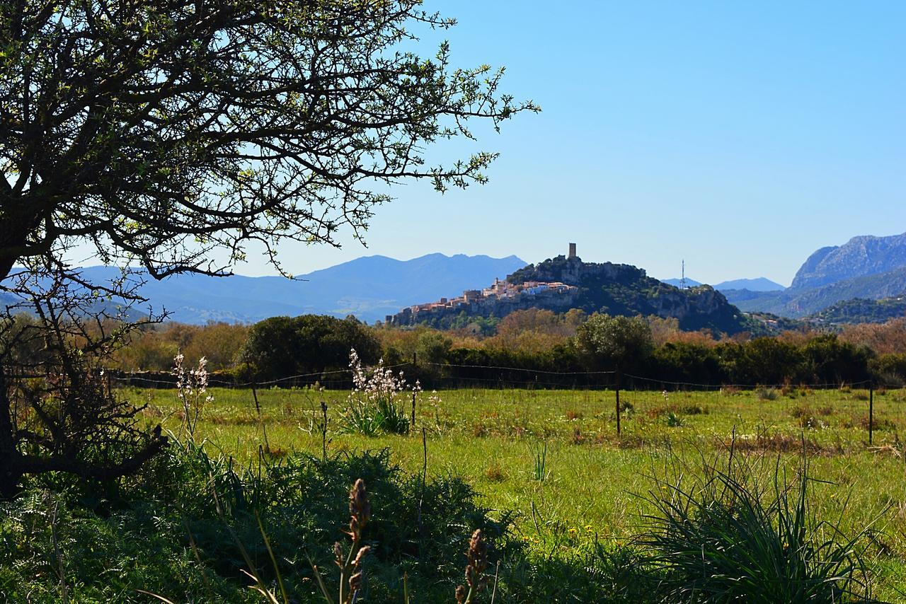 Agriturismo Orvile Posada  Zewnętrze zdjęcie